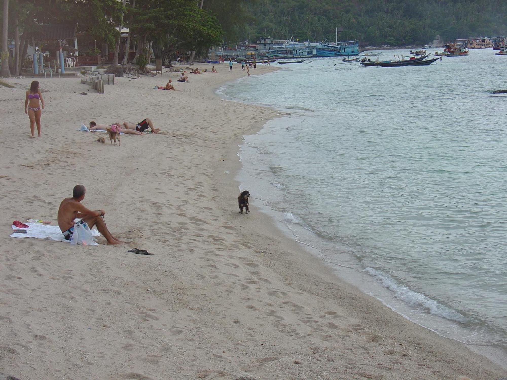 Queen Resort Ko Tao Luaran gambar